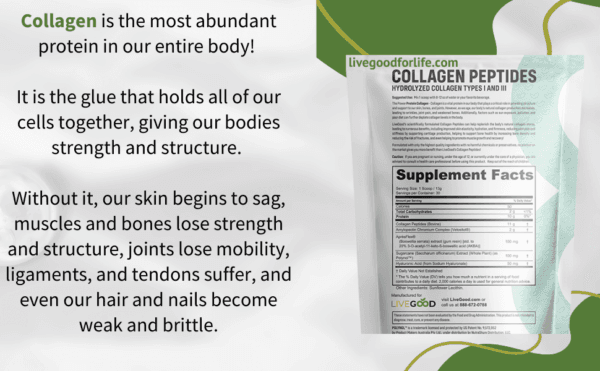 Collagen Peptides